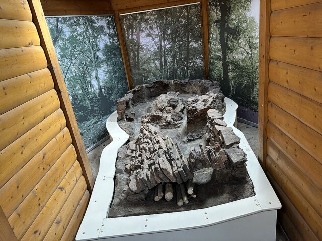 Roman Kiln in Highgate Woods