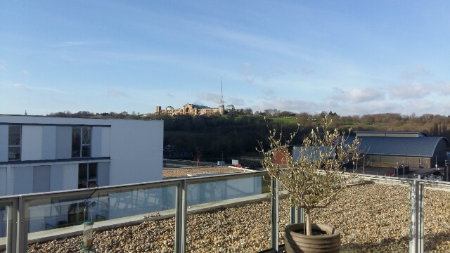 Rooftop view of Alexandra Palace and park from the New River Village