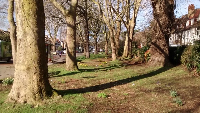 Common land on Priory Road, April 2021