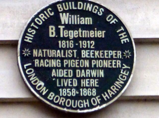 Wall plaque to honour William B Tegetmeier