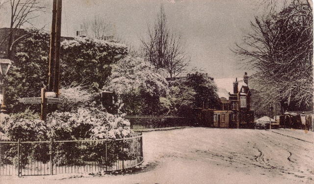 The Exchange, Muswell Hill, 1890 - the shrubbery in the centre was known as "The Plantation"